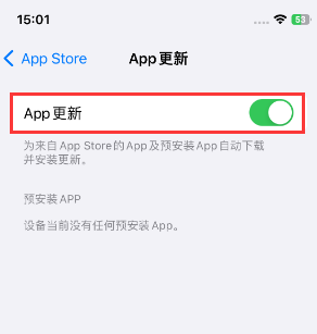 铁力苹果15维修中心如何让iPhone15APP自动更新